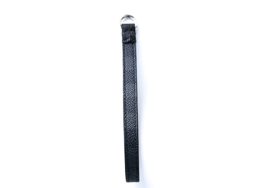 LV Damier Graphite Lanyard Keychain